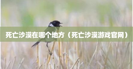 死亡沙漠在哪个地方（死亡沙漠游戏官网）