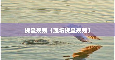 保皇规则（潍坊保皇规则）
