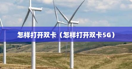怎样打开双卡（怎样打开双卡5G）