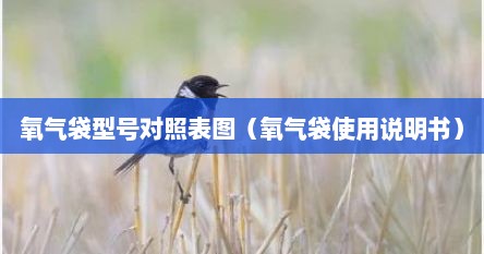 氧气袋型号对照表图（氧气袋使用说明书）