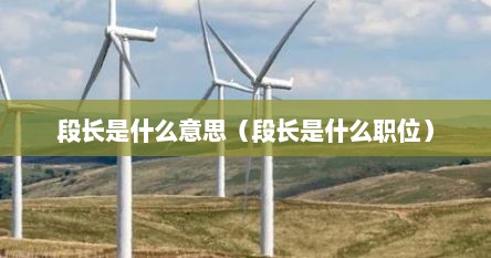 段长是什么意思（段长是什么职位）