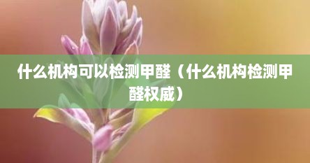 什么机构可以检测甲醛（什么机构检测甲醛权威）