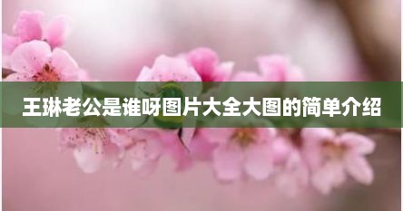 王琳的老公的照片（王琳老公是不是沙溢）