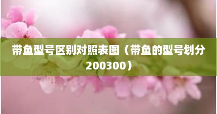 带鱼型号区别对照表图（带鱼的型号划分200300）