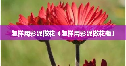 怎样用彩泥做花（怎样用彩泥做花瓶）
