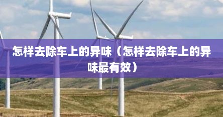 怎样去除车上的异味（怎样去除车上的异味最有效）