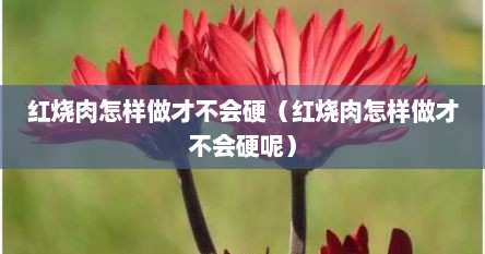 红烧肉怎样做才不会硬（红烧肉怎样做才不会硬呢）