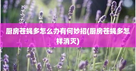 厨房苍蝇多怎么办有何妙招(厨房苍蝇多怎样消灭)