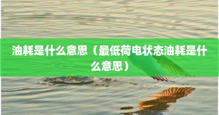 油耗是什么意思（最低荷电状态油耗是什么意思）