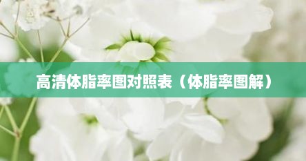 高清体脂率图对照表（体脂率图解）
