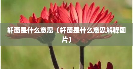 轩窗是什么意思（轩窗是什么意思解释图片）