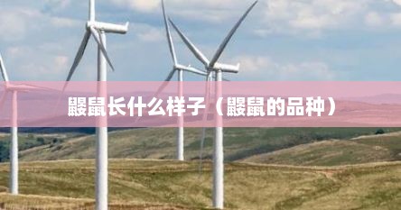鼹鼠长什么样子（鼹鼠的品种）