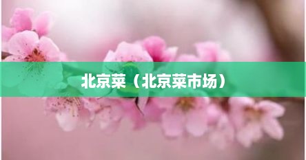 北京菜（北京菜市场）