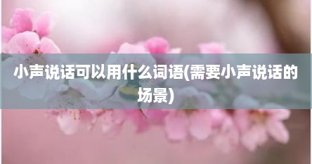 小声说话可以用什么词语(需要小声说话的场景)