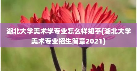湖北大学美术学专业怎么样知乎(湖北大学美术专业招生简章2021)