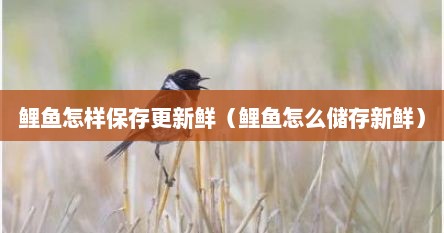 鲤鱼怎样保存更新鲜（鲤鱼怎么储存新鲜）