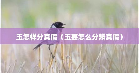 玉怎样分真假（玉要怎么分辨真假）