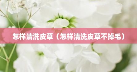 怎样清洗皮草（怎样清洗皮草不掉毛）