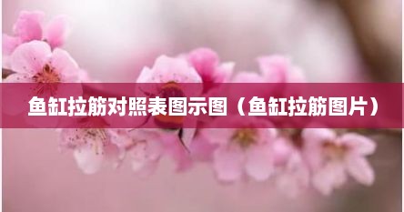 鱼缸拉筋对照表图示图（鱼缸拉筋图片）