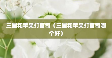 三星和苹果打官司（三星和苹果打官司哪个好）