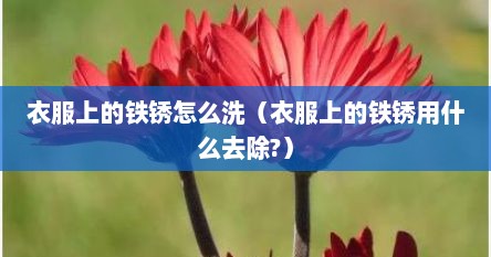 衣服上的铁锈怎么洗（衣服上的铁锈用什么去除?）