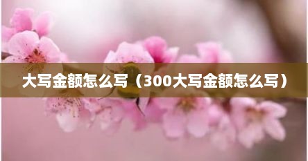 大写金额怎么写（300大写金额怎么写）