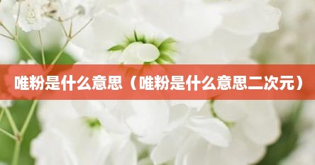 唯粉是什么意思（唯粉是什么意思二次元）