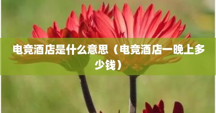 电竞酒店是什么意思（电竞酒店一晚上多少钱）