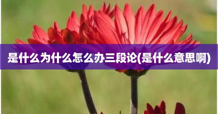 是什么为什么怎么办三段论(是什么意思啊)