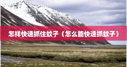 怎样快速抓住蚊子（怎么能快速抓蚊子）