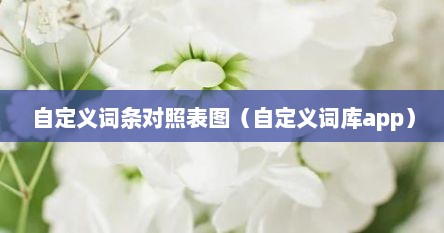 自定义词条对照表图（自定义词库app）