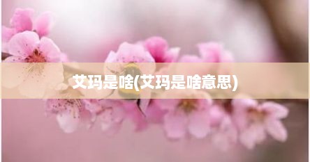 艾玛是啥(艾玛是啥意思)