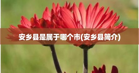 安乡县是属于哪个市(安乡县简介)