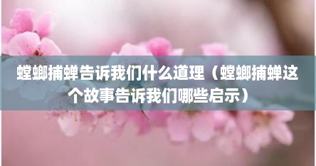 螳螂捕蝉告诉我们什么道理（螳螂捕蝉这个故事告诉我们哪些启示）