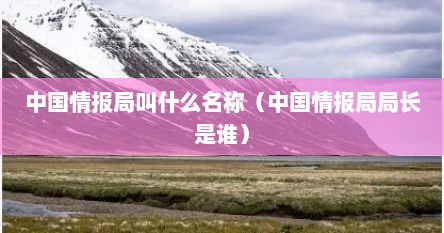 中国情报局叫什么名称（中国情报局局长是谁）