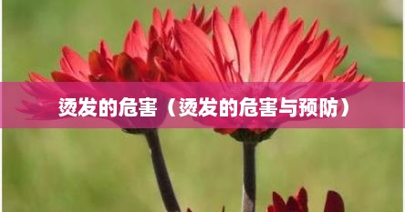 烫发的危害（烫发的危害与预防）