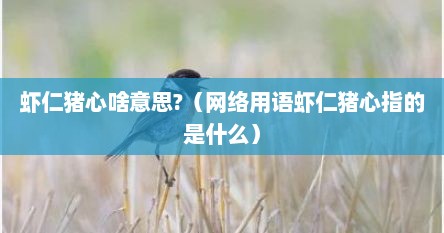 虾仁猪心啥意思?（网络用语虾仁猪心指的是什么）