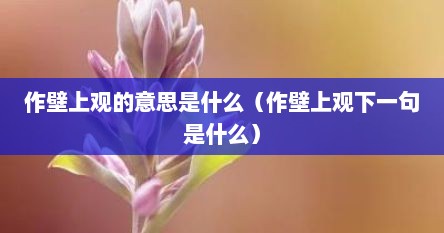 作壁上观的意思是什么（作壁上观下一句是什么）