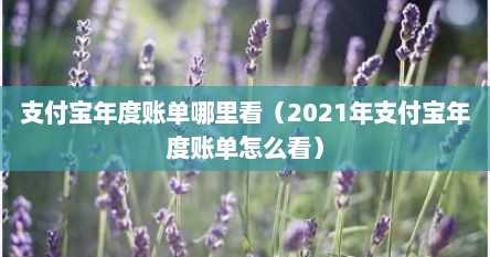 支付宝年度账单哪里看（2021年支付宝年度账单怎么看）