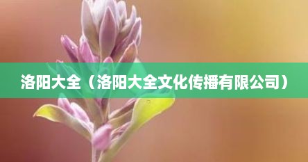 洛阳大全（洛阳大全文化传播有限公司）