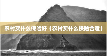 农村买什么保险好（农村买什么保险合适）