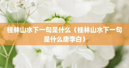 桂林山水下一句是什么（桂林山水下一句是什么唐李白）