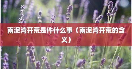 南泥湾开荒是件什么事（南泥湾开荒的含义）