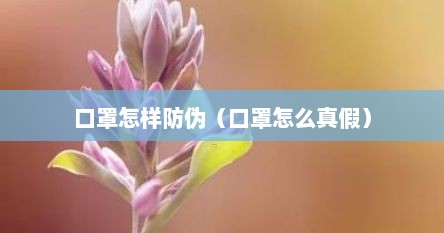 口罩怎样防伪（口罩怎么真假）