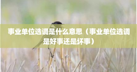 市直事业单位选调是什么意思（事业单位选调是编制调过去吗）