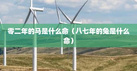 零二年的马是什么命（八七年的兔是什么命）
