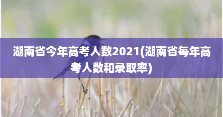 湖南省今年高考人数2021(湖南省每年高考人数和录取率)
