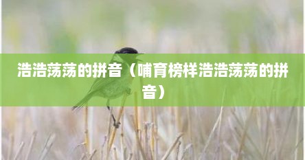 浩浩荡荡的拼音（哺育榜样浩浩荡荡的拼音）