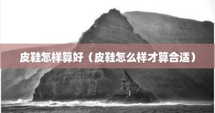 皮鞋怎样算好（皮鞋怎么样才算合适）