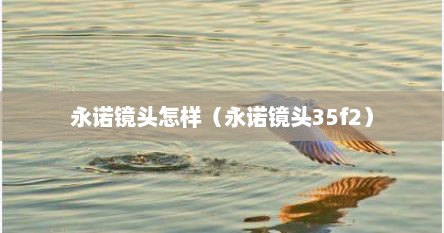 永诺镜头怎样（永诺镜头35f2）